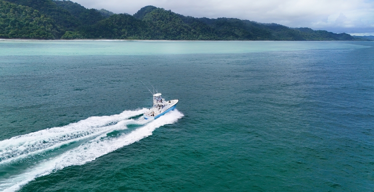  Sport Fishing in Costa Rica: Boats, Gear, and Techniques Explained